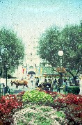 Travel; Disney Land